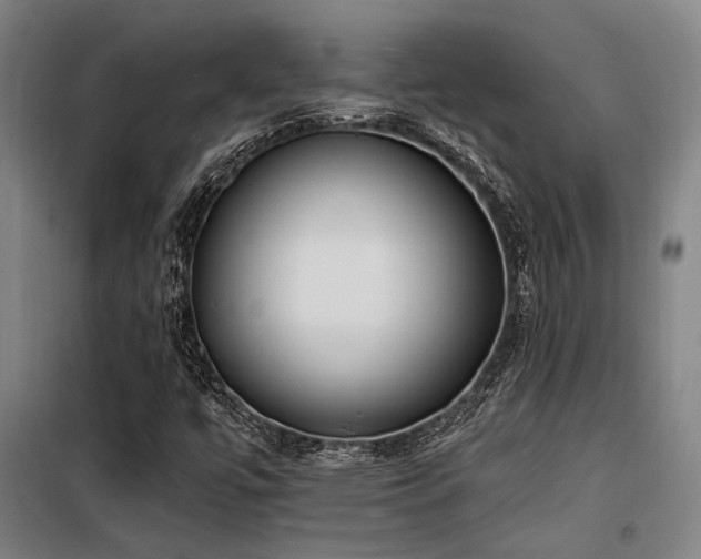 X0000098171447200804241145