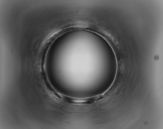 X0000098171448200804241145