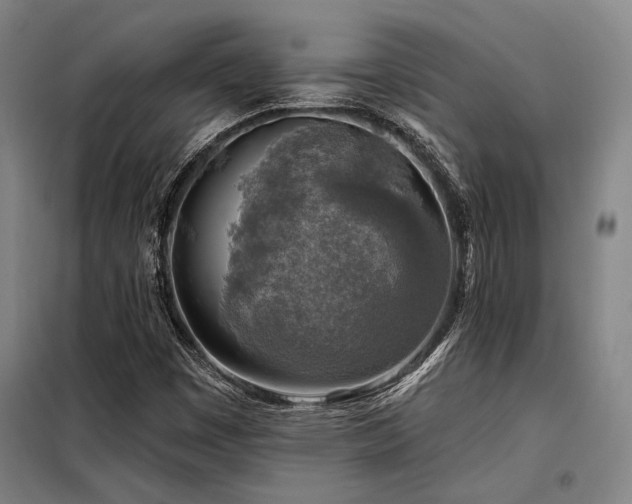 X0000098171449200804241144
