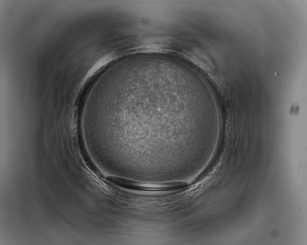 X0000098171450200804241144
