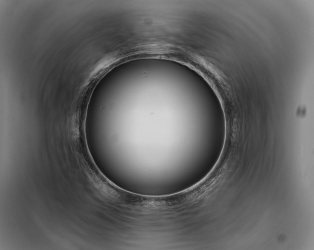 X0000098171451200804241144