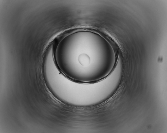 X0000098171452200804241144