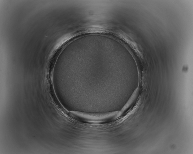 X0000098171453200804241144