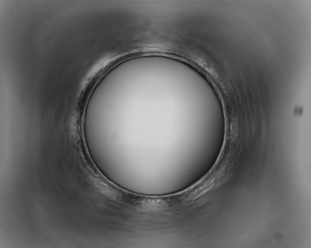 X0000098171454200804241144