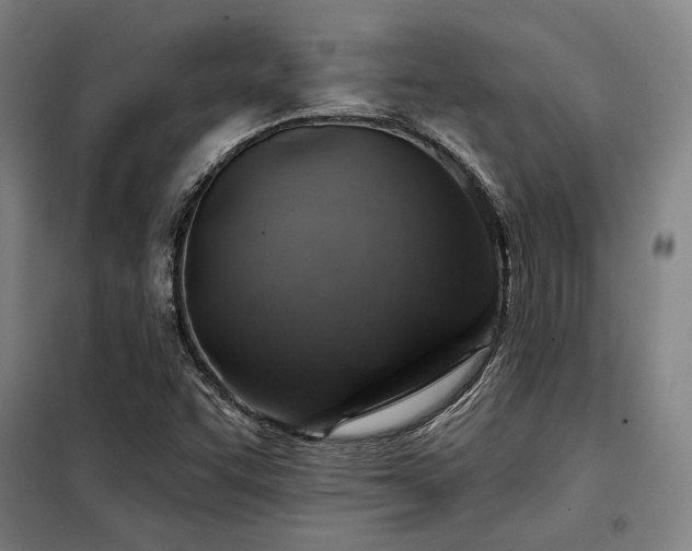 X0000098171455200804241144