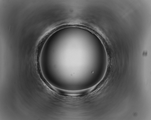 X0000098171456200804241144