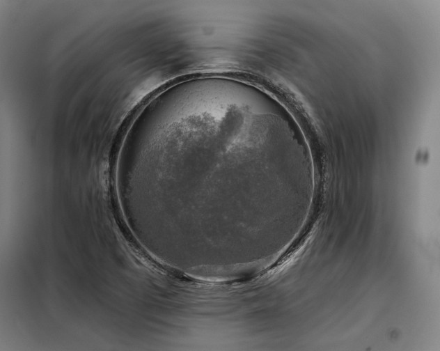 X0000098171457200804241144