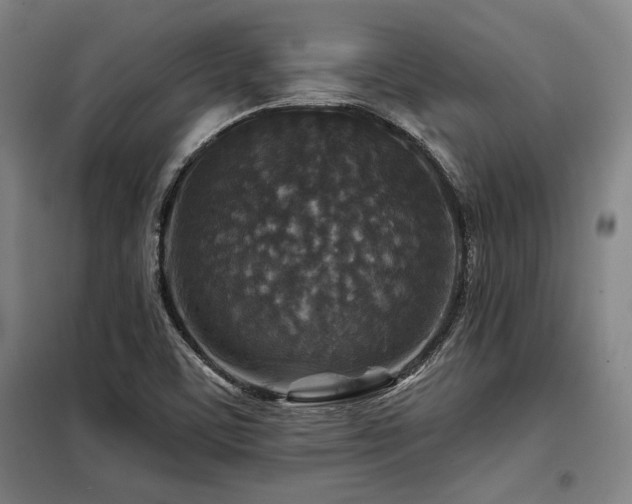 X0000098171459200804241144