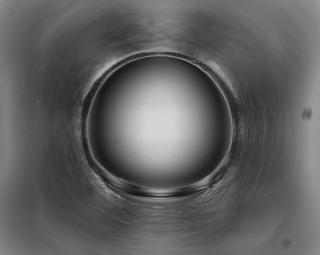 X0000098171460200804241144