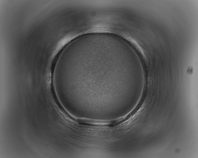 X0000098171461200804241144