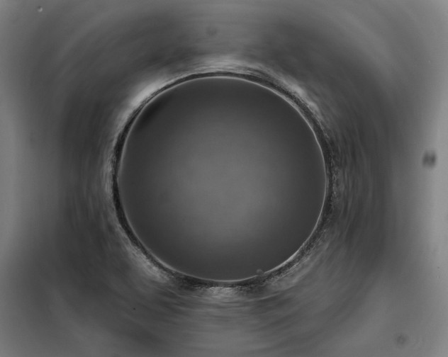 X0000098171463200804241144