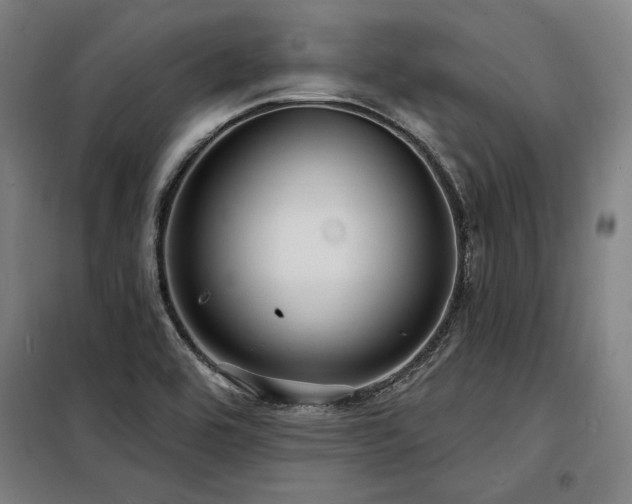 X0000098171464200804241144