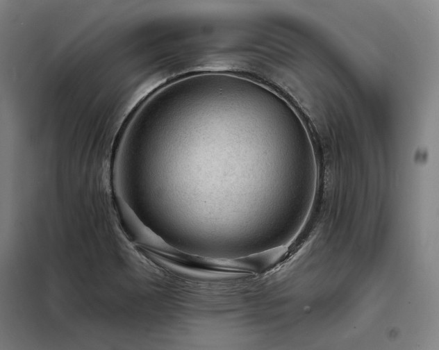 X0000098171465200804241144