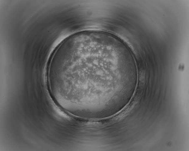 X0000098171466200804241144