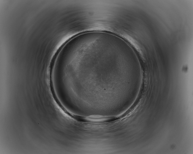 X0000098171468200804241144
