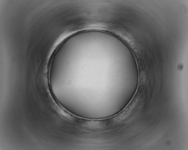 X0000098171470200804241144