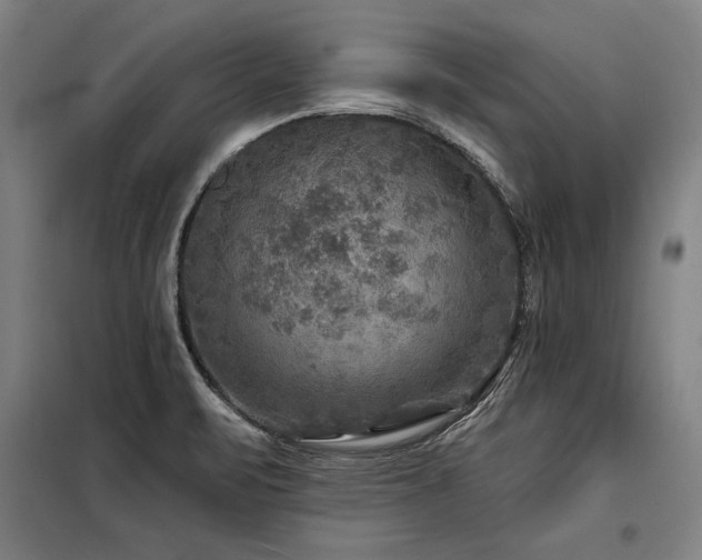 X0000098171471200804241144