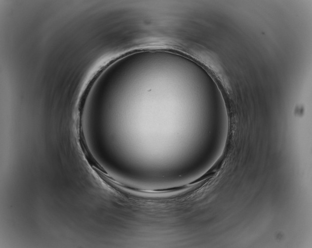 X0000098171472200804241144