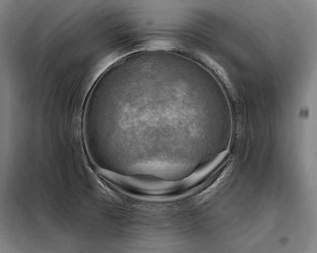 X0000098171473200804241144