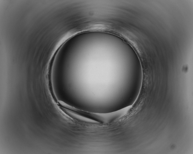 X0000098171475200804241144
