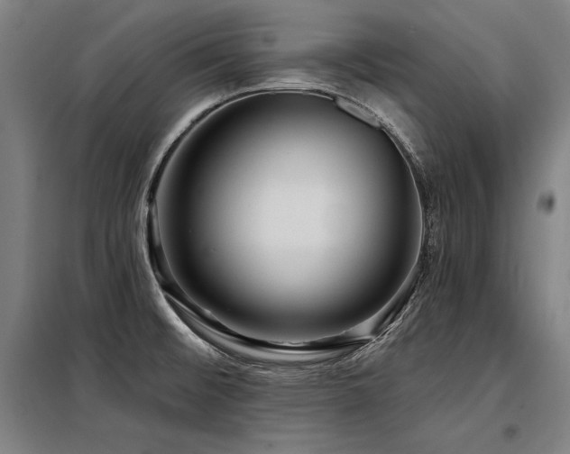 X0000098171476200804241144