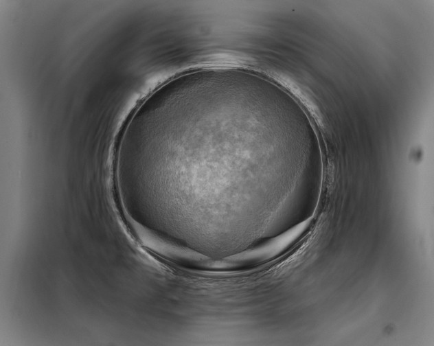 X0000098171477200804241144