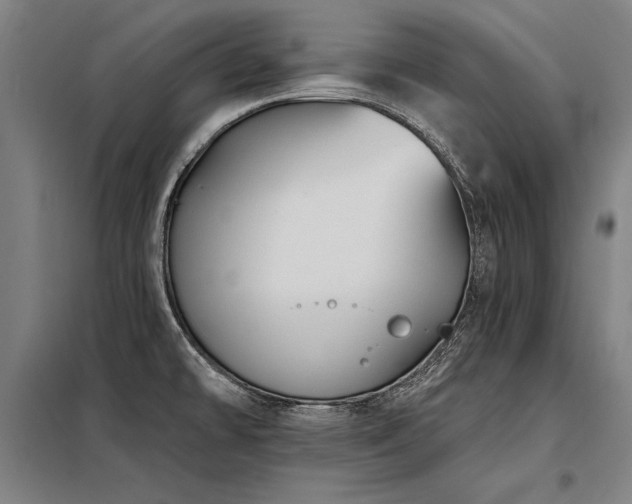 X0000098171478200804241144