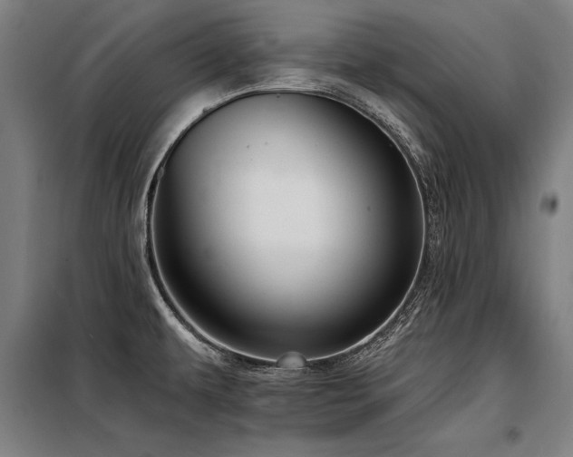 X0000098171479200804241144