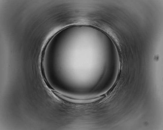 X0000098171480200804241144