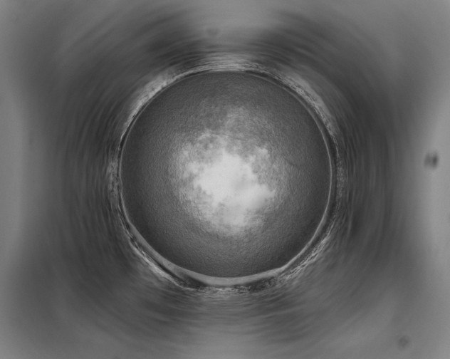 X0000098171481200804241144
