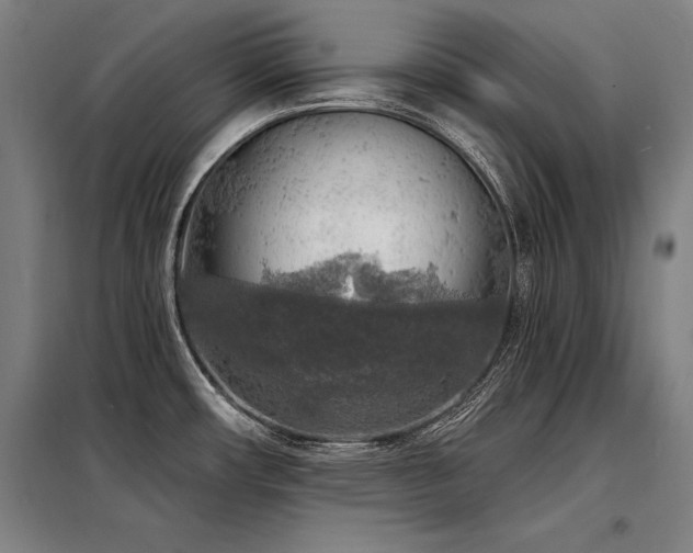 X0000098171482200804241144