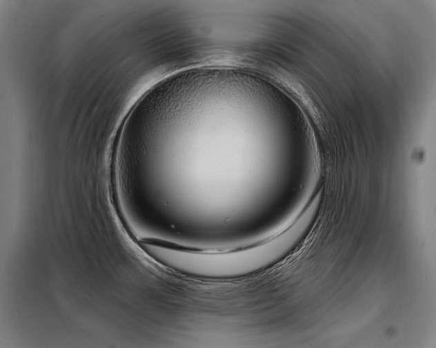 X0000098171483200804241144