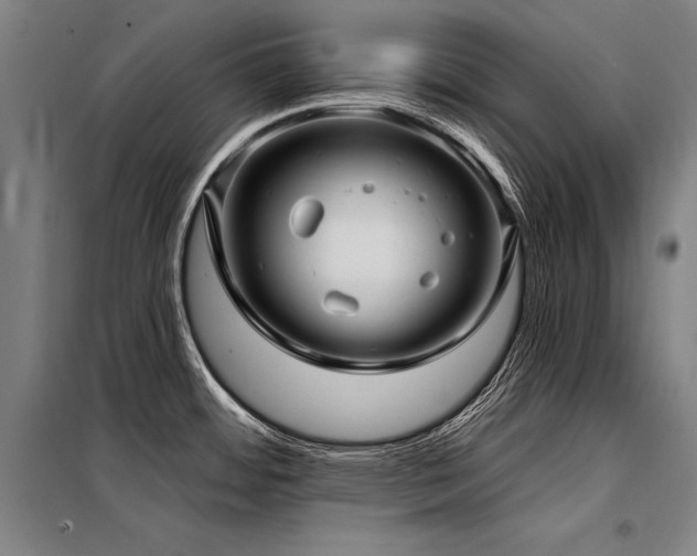 X0000098171484200804241144