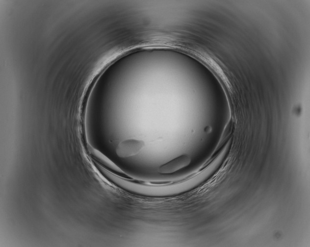 X0000098171485200804241144