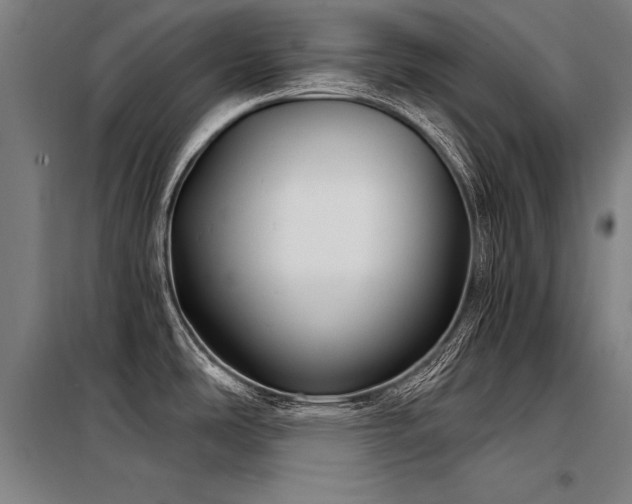 X0000098171486200804241144