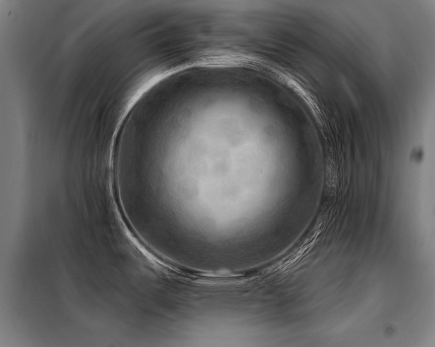 X0000098171487200804241144