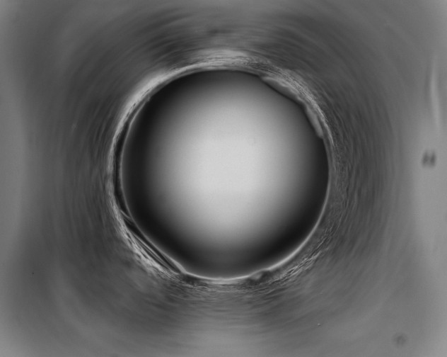 X0000098171488200804241144