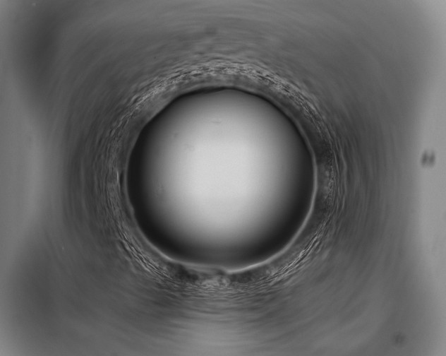 X0000098171489200804241143
