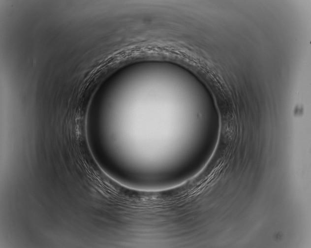 X0000098171490200804241143