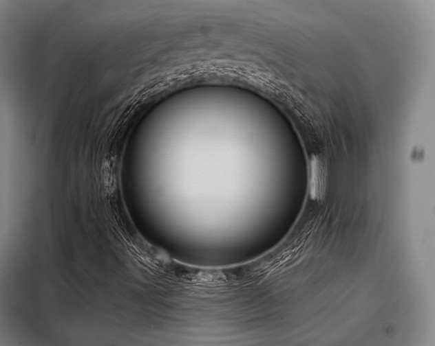 X0000098171491200804241143