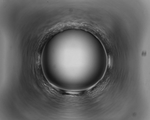 X0000098171492200804241143