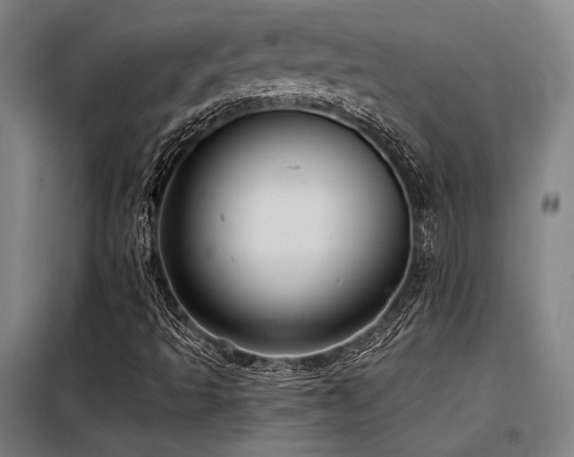 X0000098171493200804241143
