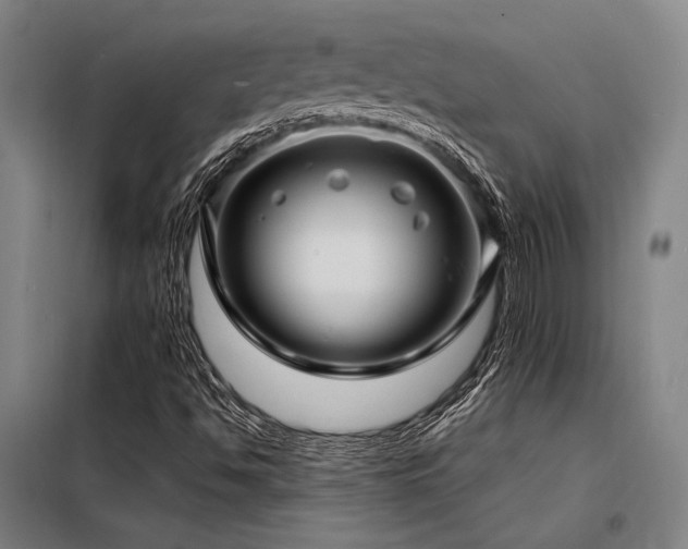 X0000098171494200804241143