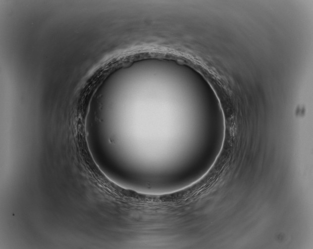 X0000098171495200804241143