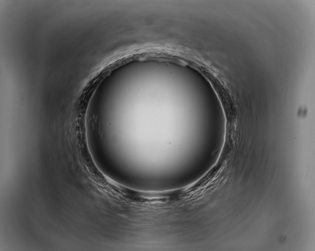 X0000098171496200804241143
