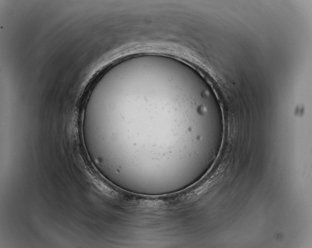 X0000098171498200804241143