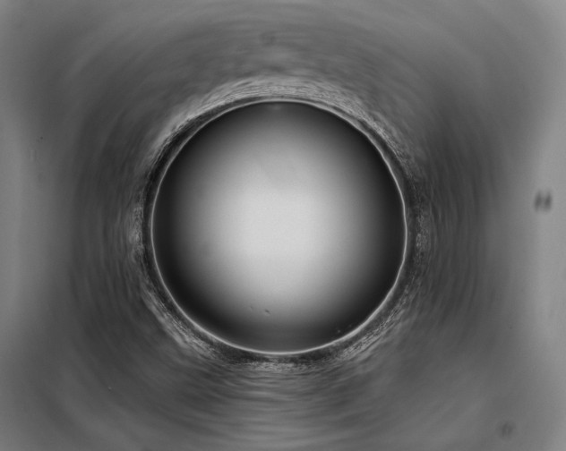X0000098171499200804241143