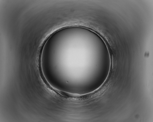 X0000098171500200804241143