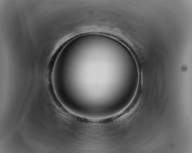 X0000098171501200804241143