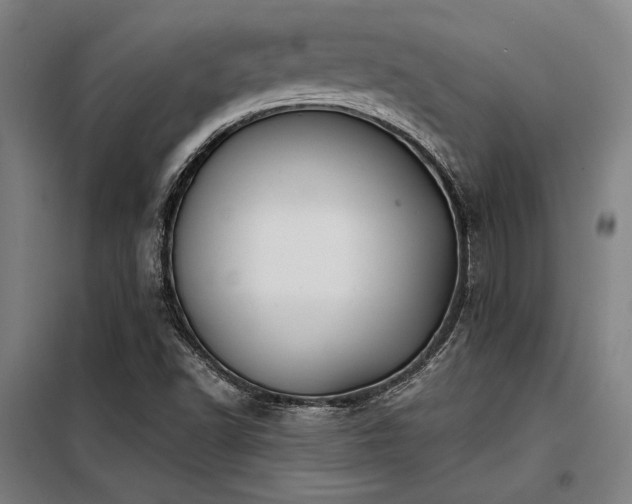 X0000098171502200804241143